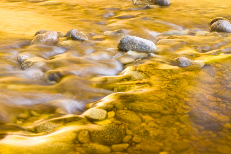 Tanin Stained Water In Late Afternoon Light